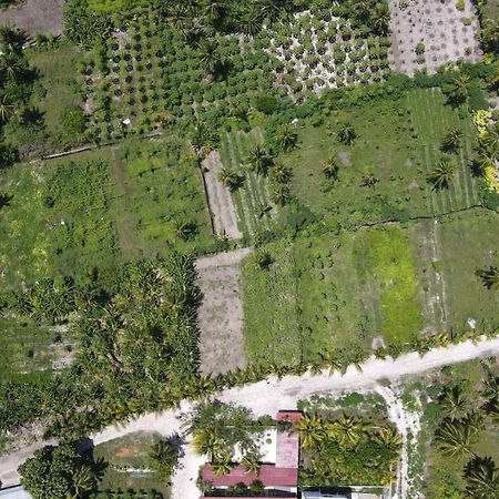 Thila Farm View Hotel Thoddoo Exterior foto