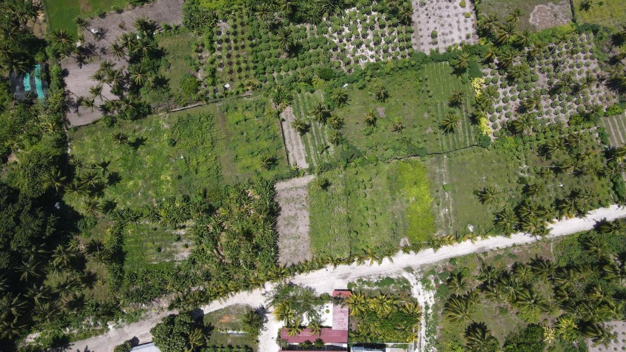 Thila Farm View Hotel Thoddoo Exterior foto