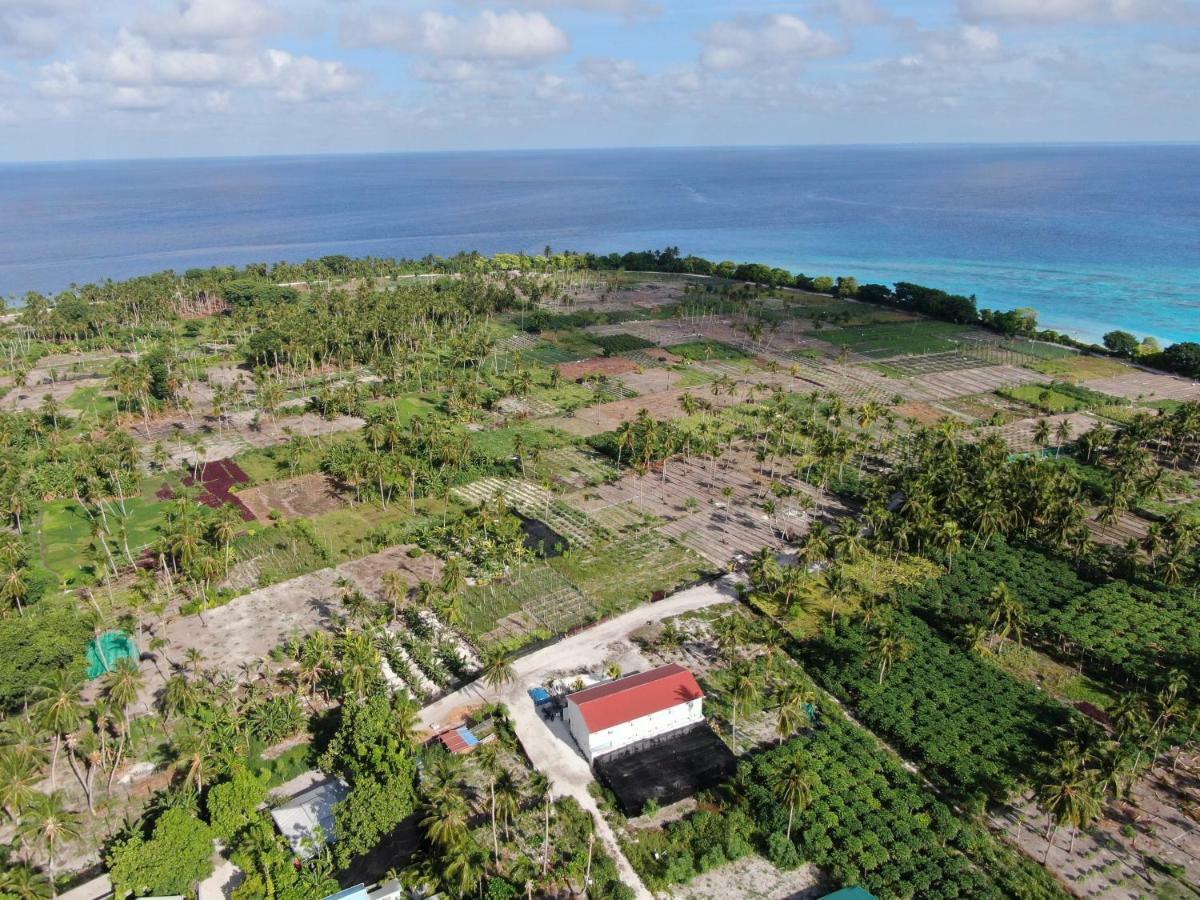 Thila Farm View Hotel Thoddoo Exterior foto