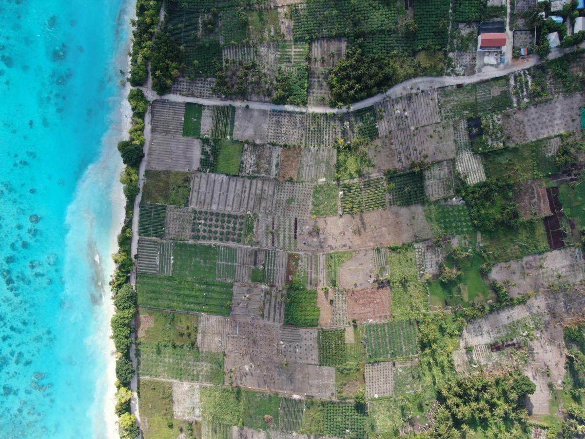 Thila Farm View Hotel Thoddoo Exterior foto
